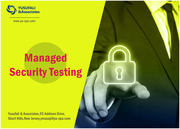 PCI Audit &  Assessment Services,  Managed Security Testing- Ya-Cpa