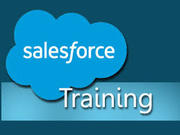 Salesforce Training - Custom,  Onsite Training for Salesforce.com