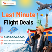 Last Minute Flights - 1-855-564-8040