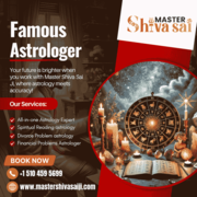 Famous Astrologer in California | Famous vedic Astrologer in Californi