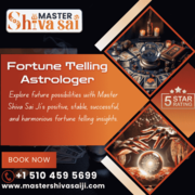 Famous Astrologer in California | Best Fortune Teller in California